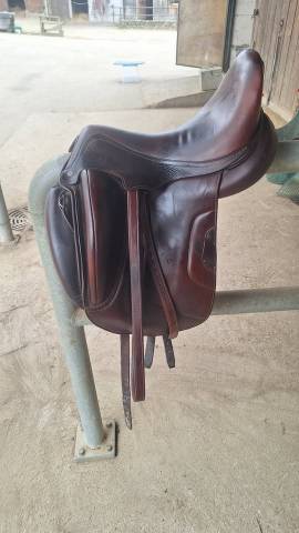 Antares Tempo dressage