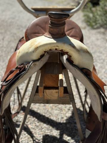 Selle western 