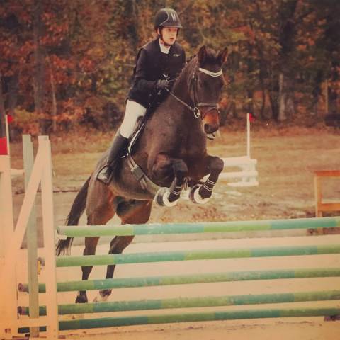 Cheval toutes disciplines