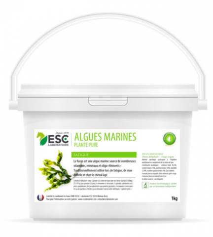Algues marines Fucus - ESC - source de vitalité