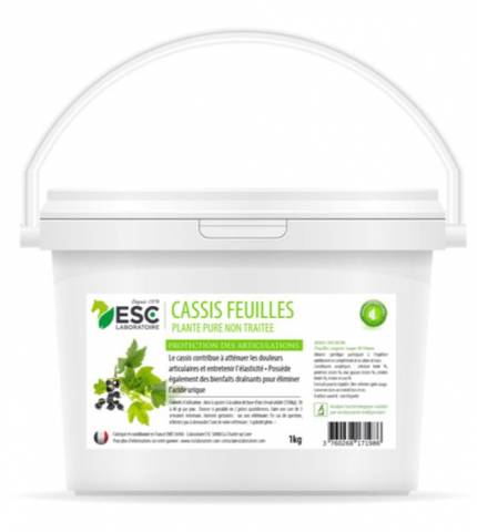 Cassis Feuilles - Articulation - ESC laboratoire