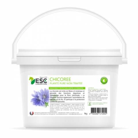 Chicorée digestion - ESC Laboratoire