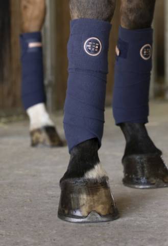 Bandes de polo EQUITHÈME Skolstart Marine