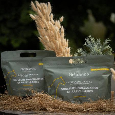 Cataplasme d'argile douleurs musculaires et articulaires - Nellumbo