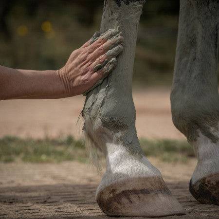 Cataplasme d'argile Drainage detox - Nellumbo