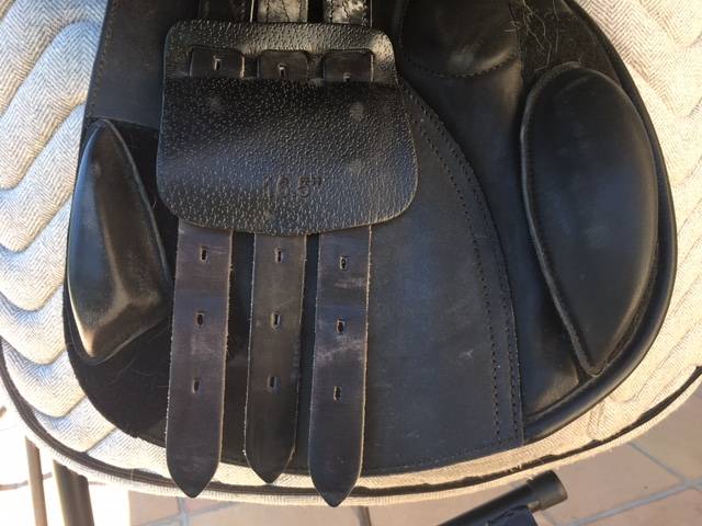 selle Premier Equitation 16.5