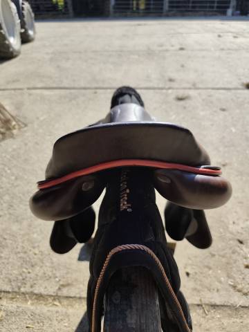 Selle GBS 
