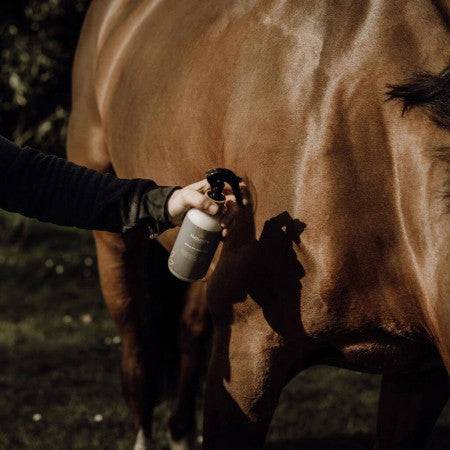 Répulsif insectes pour chevaux - Nellumbo