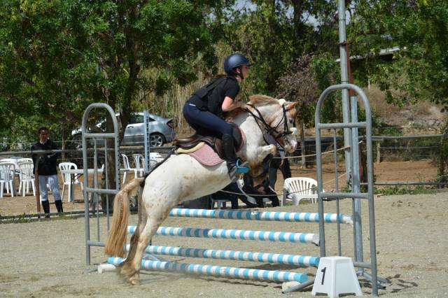 Poney CSO
