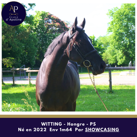 Magnifique 3 ans, épais très chic déjà 1m64