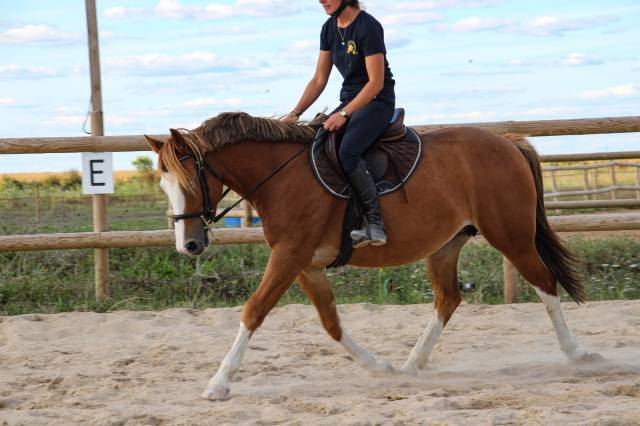 Julisca du Touney PFS 6 ans