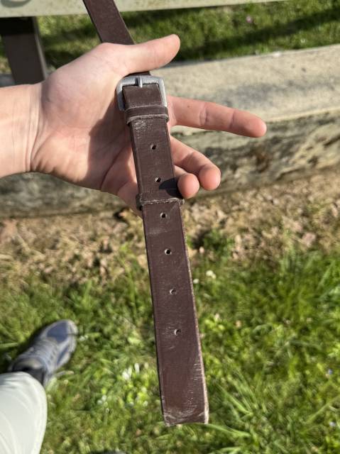 martingale taille poney