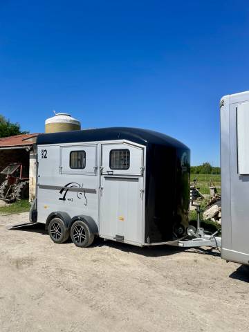 Cheval liberté Maxi 2 2023