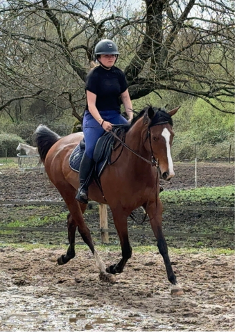 La Karita Spigao Jolie Jument Pur Sang - Prix abordable