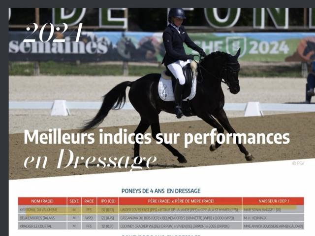 Meilleur poney français de sa génération!