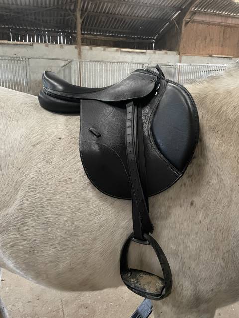 Selle platinium new time 17,5p