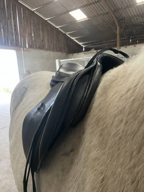 Selle platinium new time 17,5p