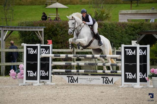 Chic hongre de 12 ans CSO