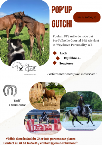 Poulain PFS 2025