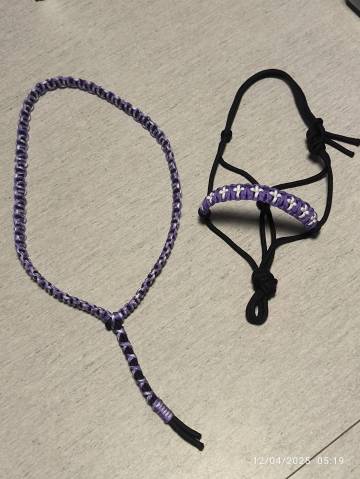 Licol éthologique+ collier d'encolure 