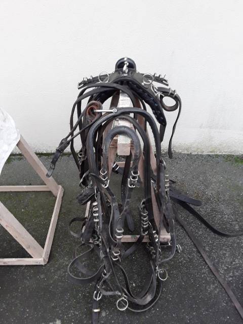 Diverses Cal&egrave;ches et Harnais