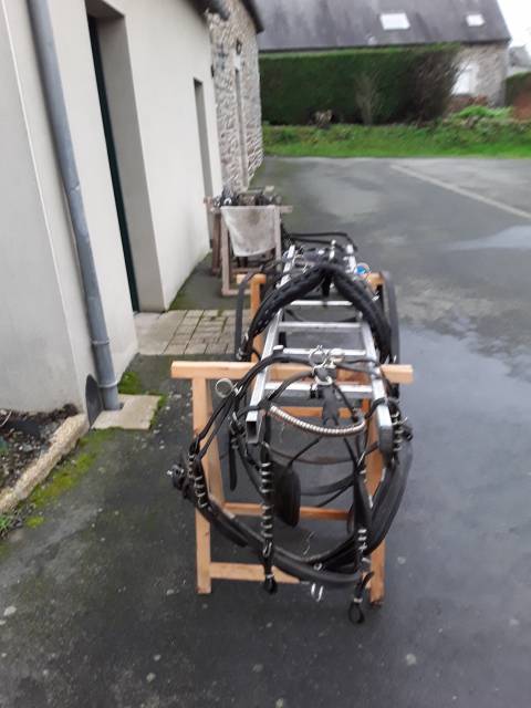 Diverses Cal&egrave;ches et Harnais