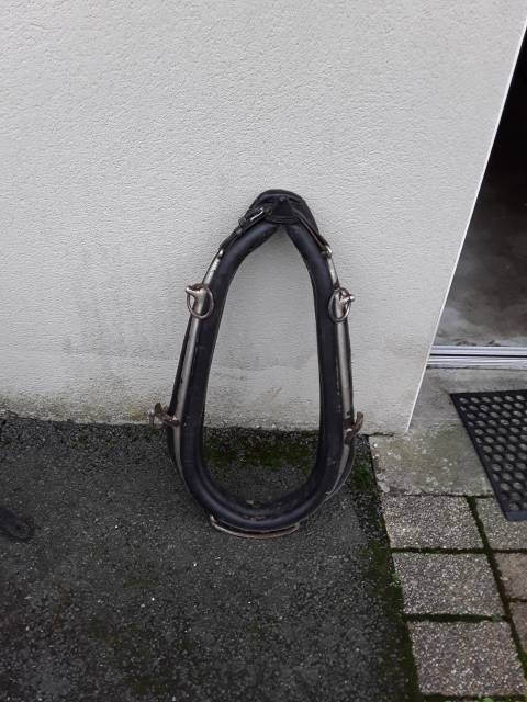 Diverses Cal&egrave;ches et Harnais