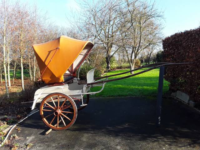 Diverses Cal&egrave;ches et Harnais