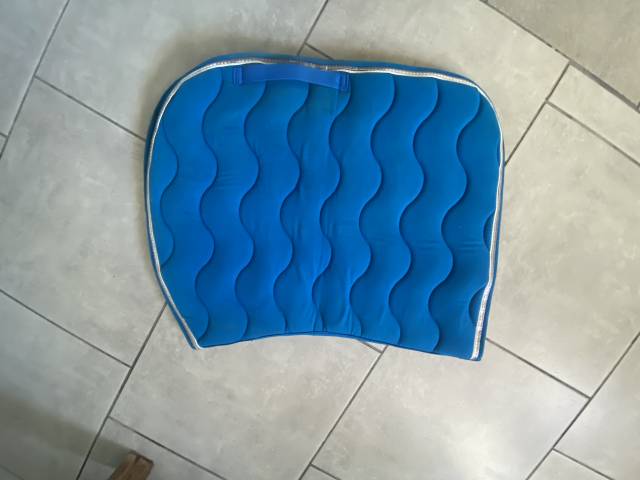 Tapis bleu Equithème
