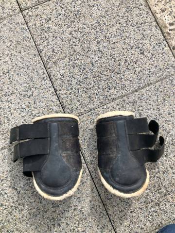 Guêtres protection cheval mouton