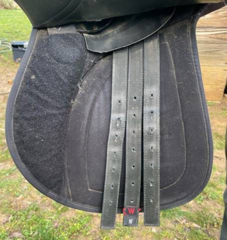 Selle cheval Norton 2015