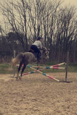 Poney sport 