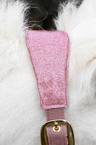 Licol velvet unicorn glitter - Kentucky - velours doux