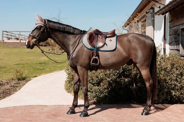 Tapis de selle Pied de Poule - Kentucky - Amorti et respirabilité