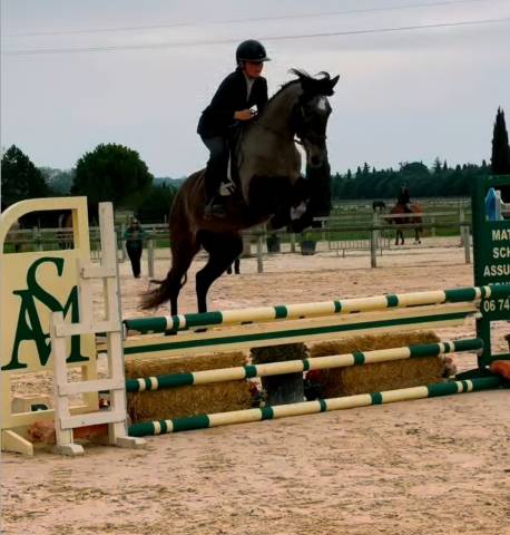 Cheval de 4ans à vendre 