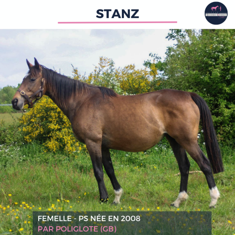 STANZ - PS - 17 ANS
