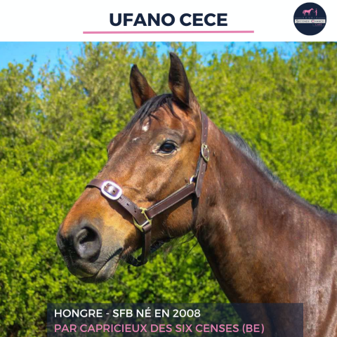 UFANO CECE - SFB - 17 ANS