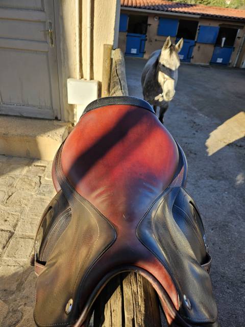 Selle cwd 2gs 