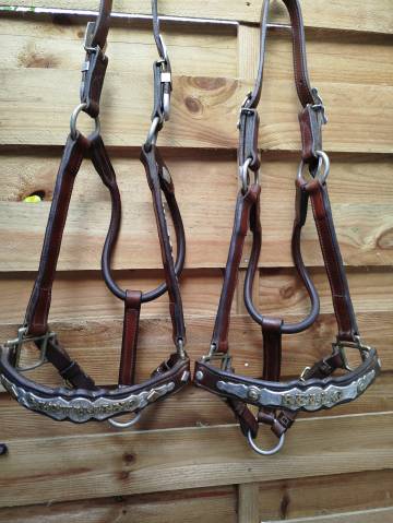 Licols western pour le show 