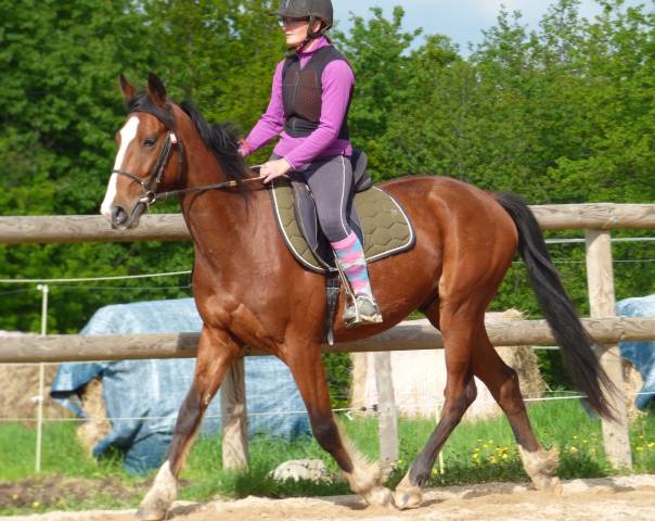 Cheval Middle