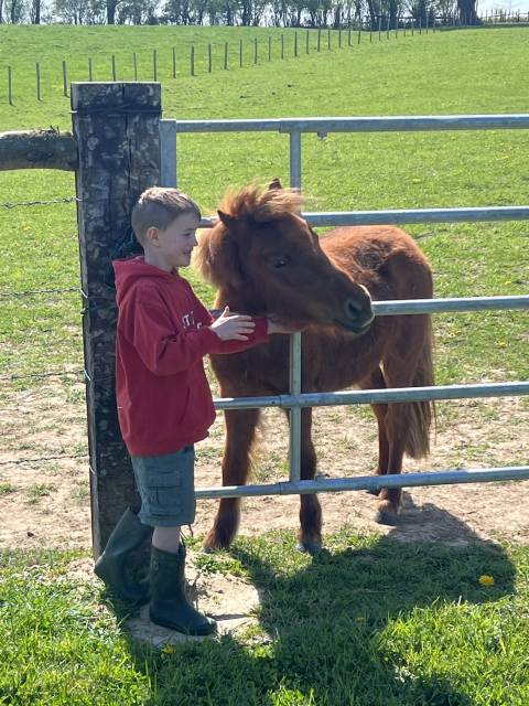 Propose Shetland au pair 