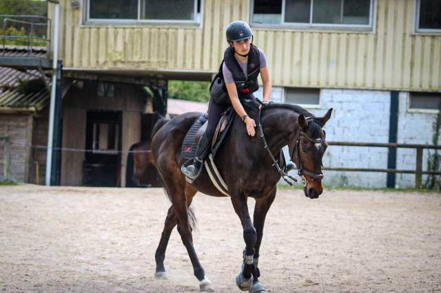 vente cheval loisir