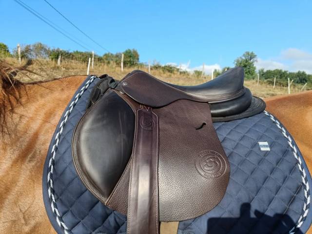 Selle forestier 