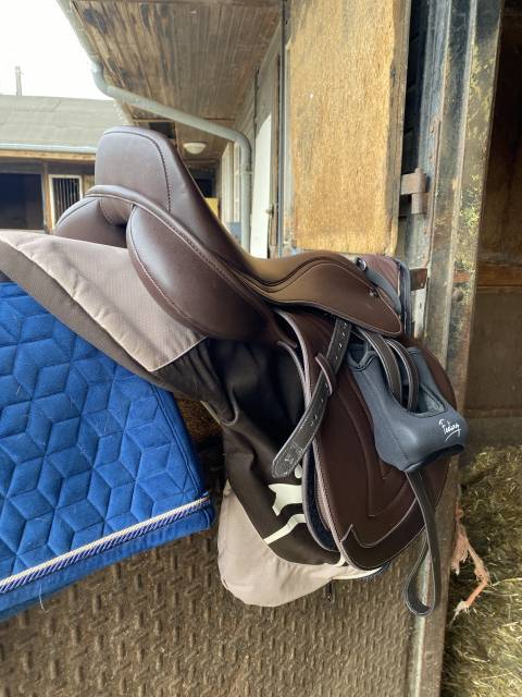 Selle première équine Sautiller 17,5 pouces