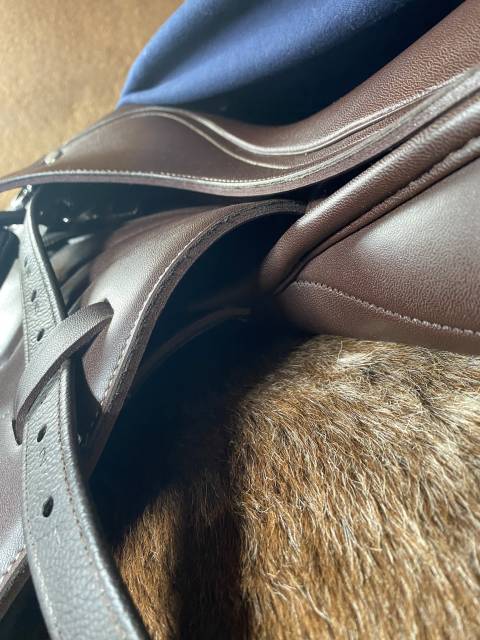 Selle première équine Sautiller 17,5 pouces