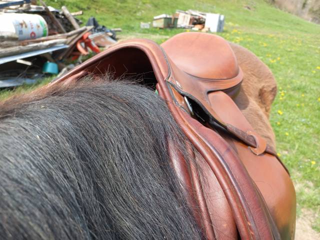 Selle CSO Amerigo Vega