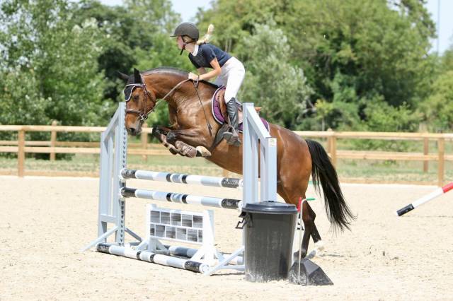 Poney D 