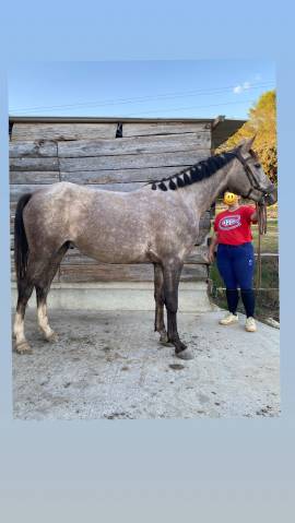 Ponette de sport 