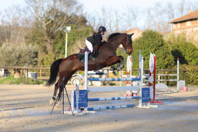 Cheval de sport