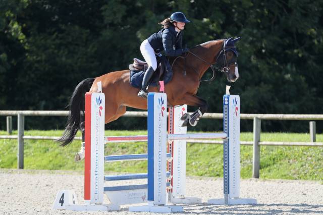 Cheval amateur 